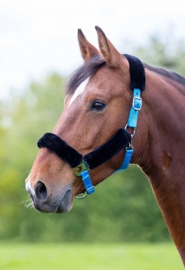 Shires Fleece Lined Headcollar